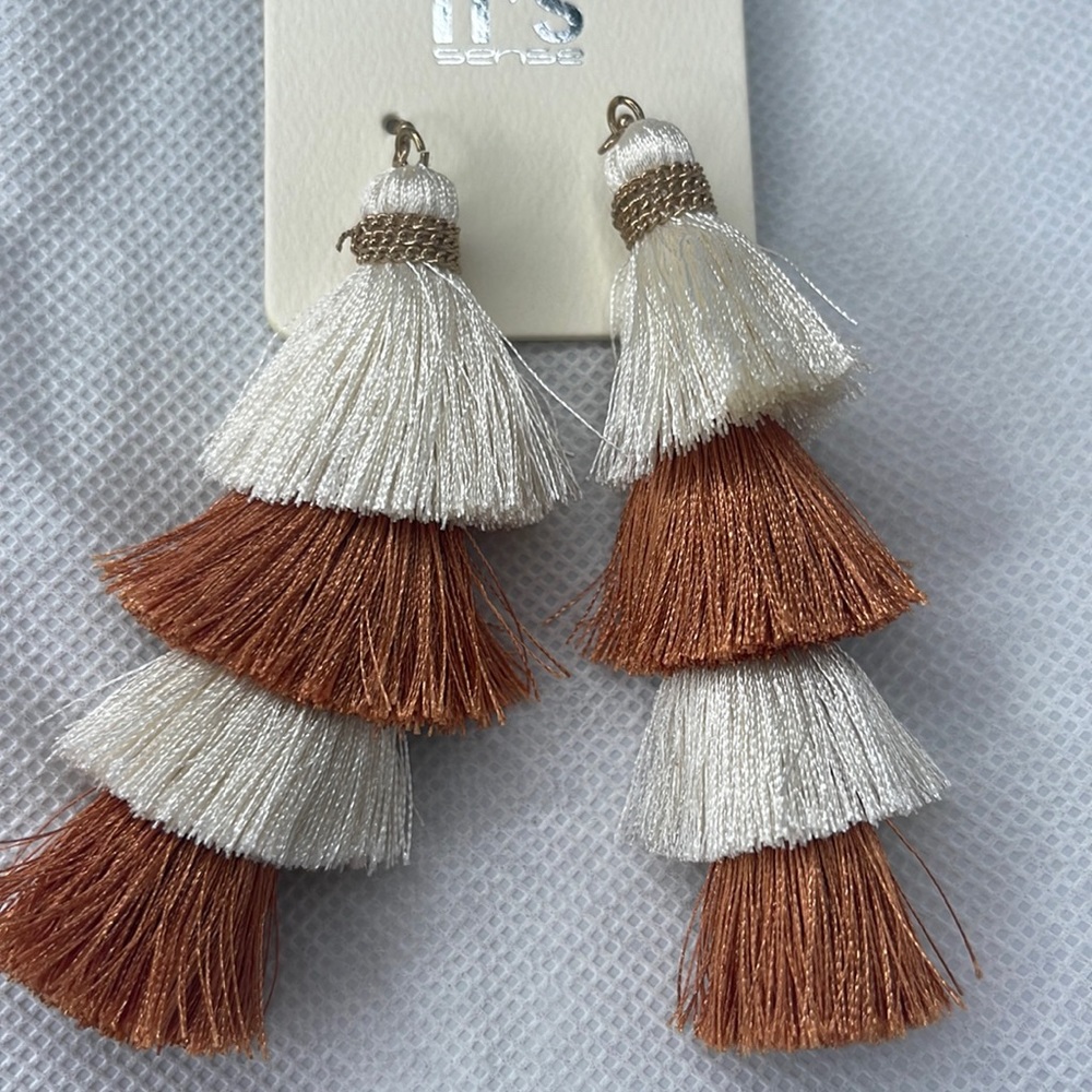 Color Block Tassel Drop Earrings